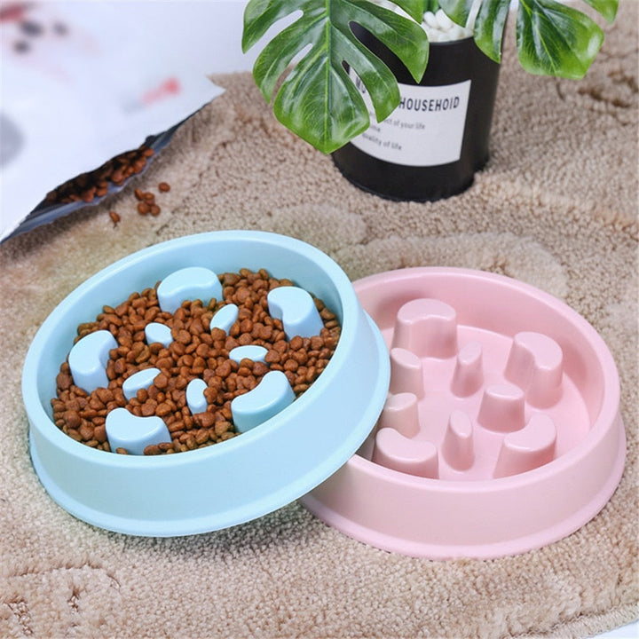 Enhance Your Pet's Mealtime with the Anti Choking Slow Feeding Bowl