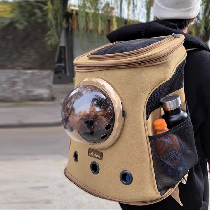 Why Your Pet Needs This Backpack