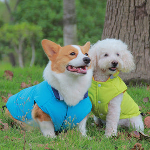 Thick Waterproof Reflective Reversible Pet Jacket: The Perfect Blend of Style and Functionality