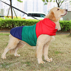 Warm Water Repellent Pet Padded Down Jacket: The Ultimate Winter Essential