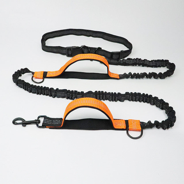 The Ultimate Adjustable Pet Harness Collar and Jogging Leash
